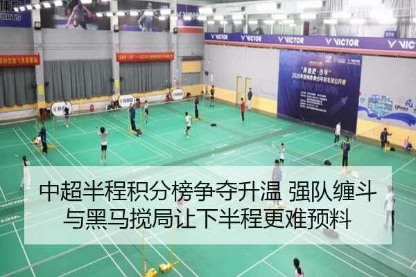 中超半程积分榜争夺升温 强队缠斗与黑马搅局让下半程更难预料 - kaiyun